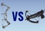 crossbows vs compound bows