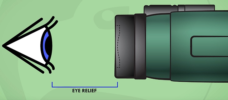 eye relief in binoculars