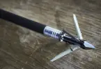 Best Broadheads for Compound Bow
