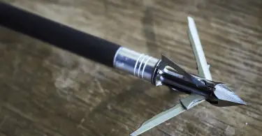 Best Broadheads for Compound Bow