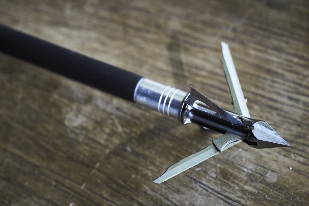Best Broadheads for Compound Bow for Hunting in 2024