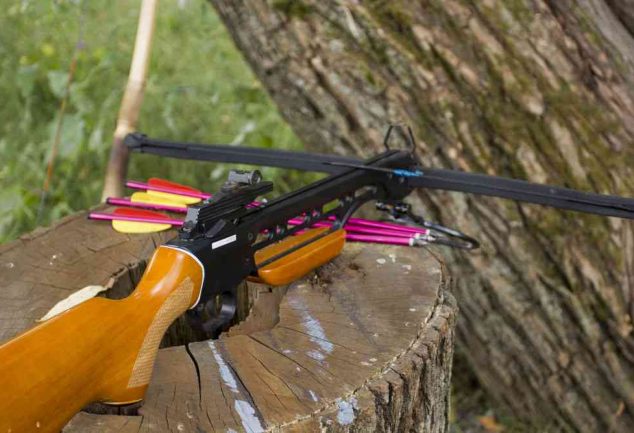 types of crossbow bolts
