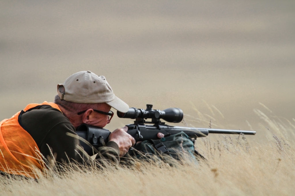 Best .308 Scope for Your Rifle [Ultimate Guide] - 2024 Updated