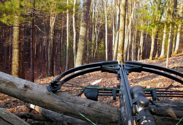 compound bow maintenance