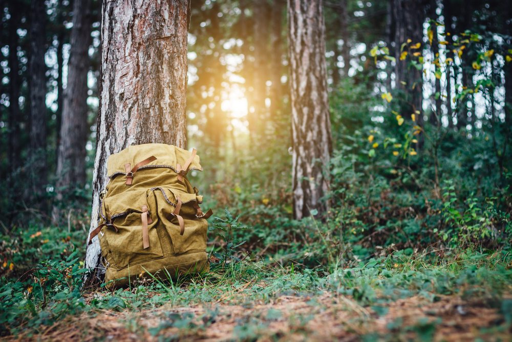 Top 5 Best Hunting Day Packs & Backpacks [2023 Updated]