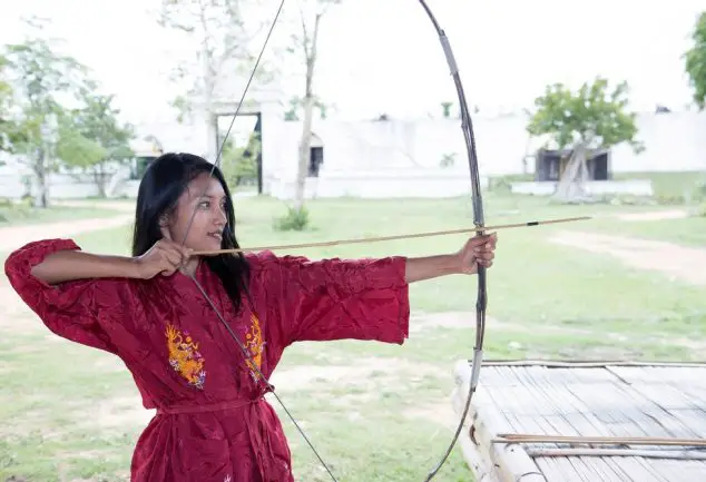 traditional Chinese archery