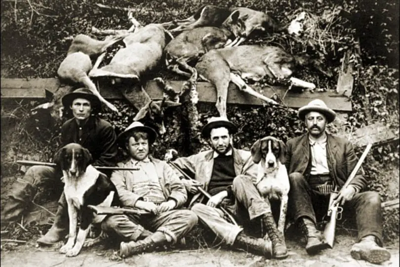 History of Deer Hunting