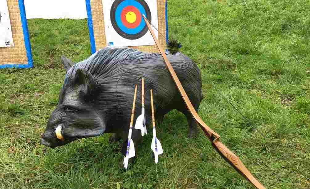 Types of Archery - 3D Target Archery