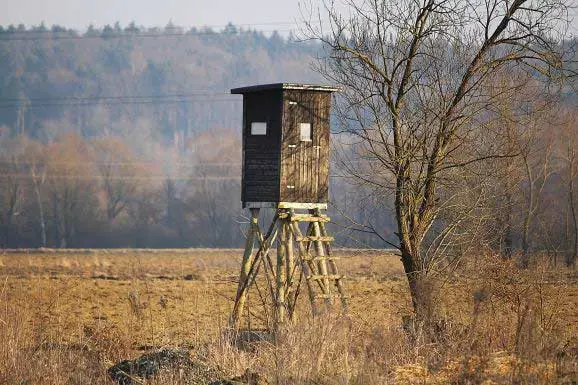 How to Build an Elevated Deer Blind
