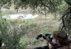 Deer Hunting With a Crossbow