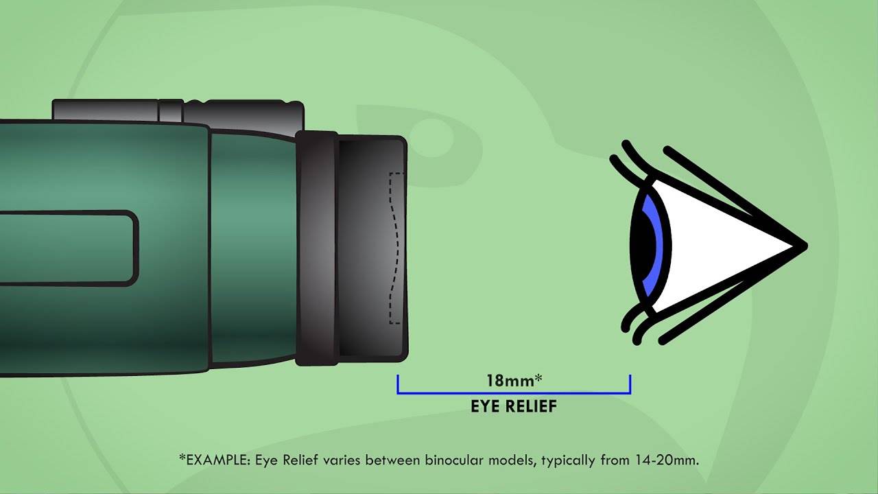 Eye Relief in Binoculars