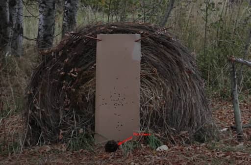 Gap Shooting Practice on a pine cone target