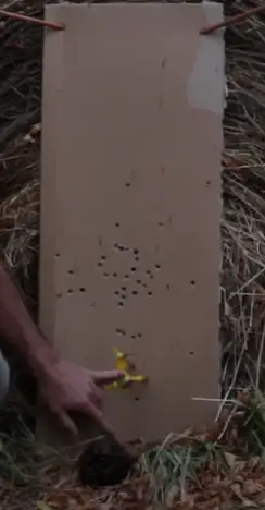 Gap shooting Practice from 5 yards on a pine cone target with a longbow
