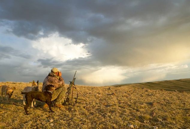 best time for coyote hunting