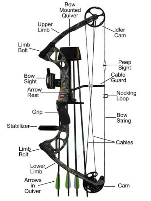 Understanding the Major Parts of a Compound Bow