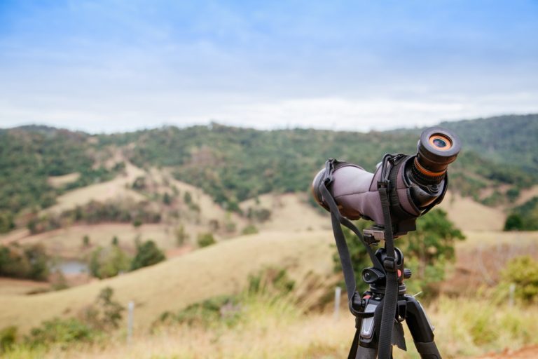 Difference between monocular and binocular cues