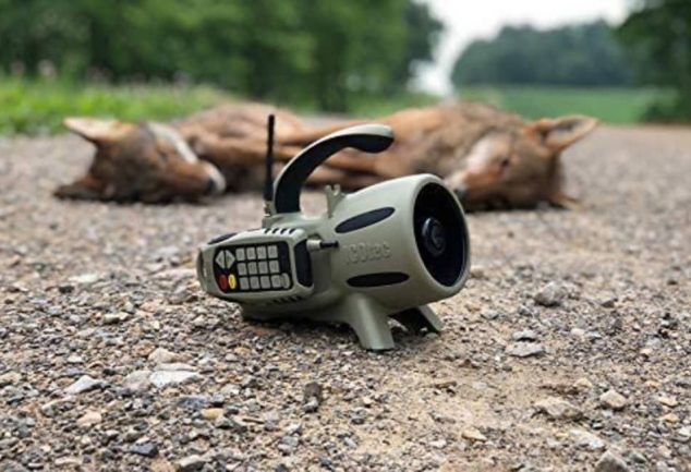 how to use a coyote call