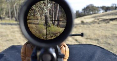How to Use a Rifle Scope