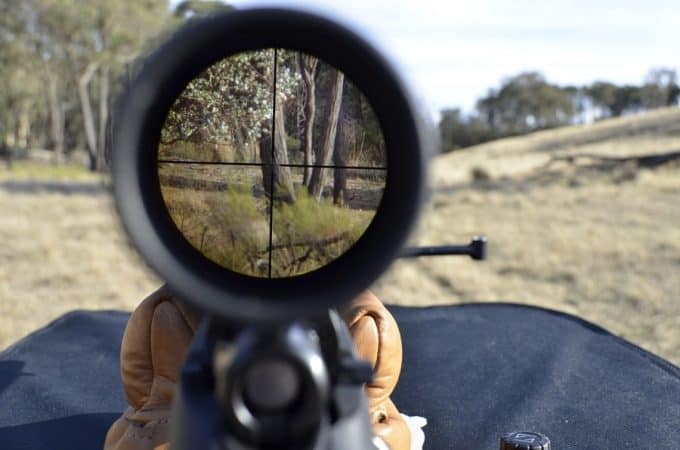 How to Use a Rifle Scope