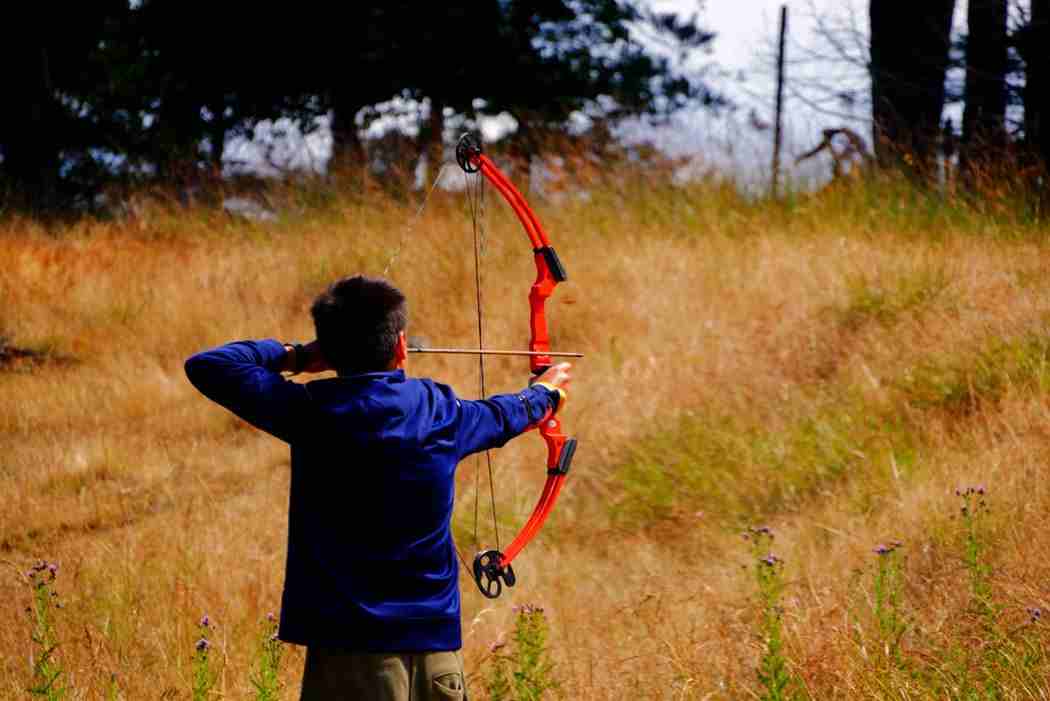 ARCHERY How to Choose an Archery Bow