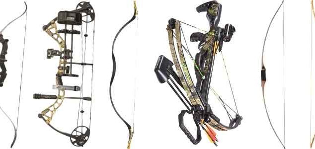 Archery Bow Types