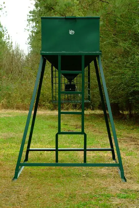 best time to set up automatic deer feeders