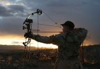 How to Adjust Draw Length on A Compound Bow