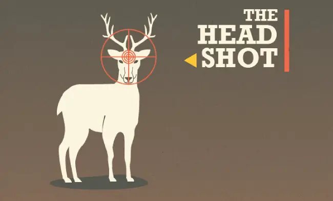 head shot on deer