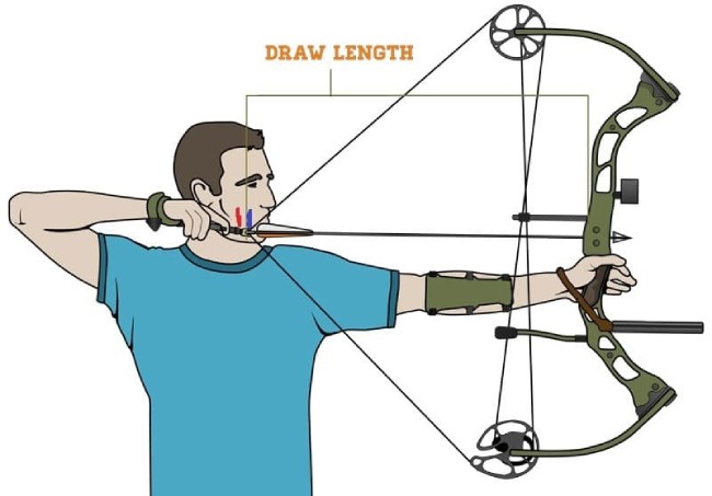 measure draw length on bow