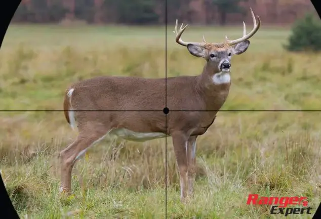 How to Drop a Deer in Its Tracks