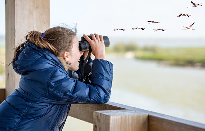 Bird watching binocular