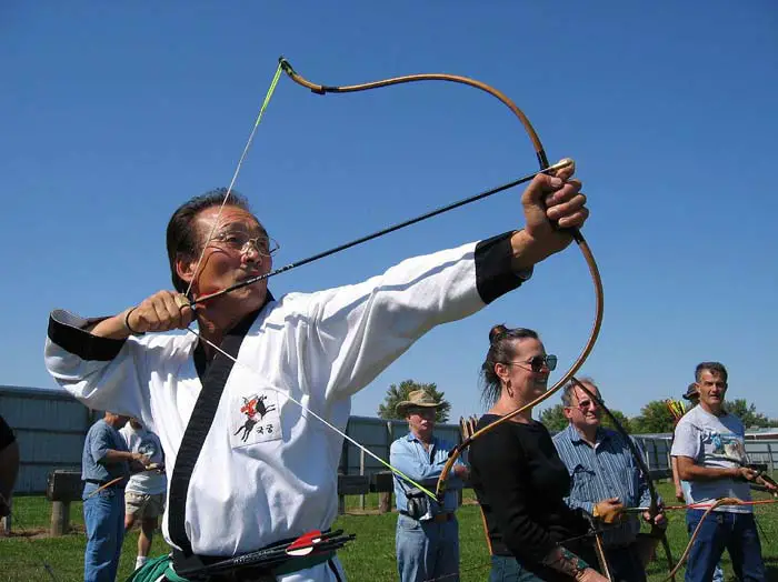 Types of Bows - Composite Bow