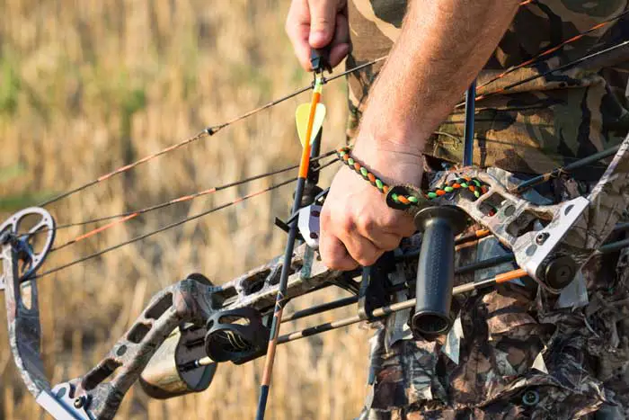 Types of Bows - Compound Bow