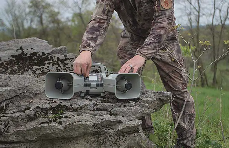 Coyote hunting call buying guide