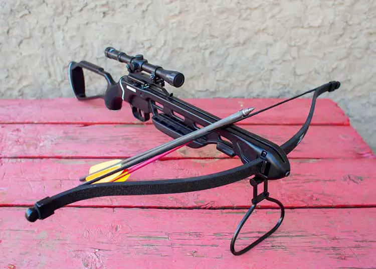 Modern crossbow buying guide
