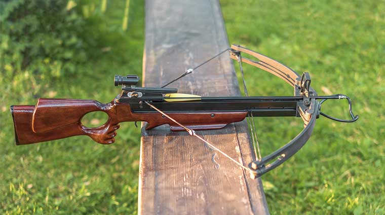 Archery Bow Types - Crossbow