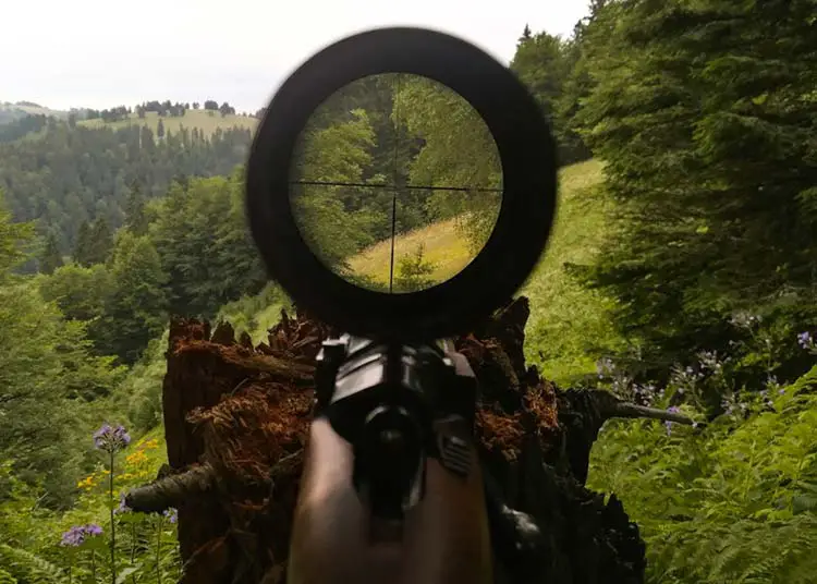 Hunting Scope Buying Guide