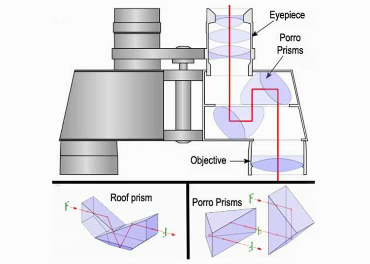 Optical parts of a binocular