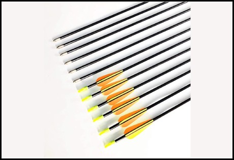 Best Archery Arrows - GPP 28-inches Fiberglass Archery Target Arrows
