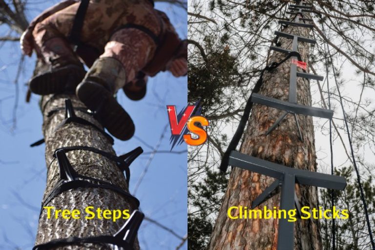 Tree Steps vs Climbing Sticks: Which One Is Better For Tree Climbing?