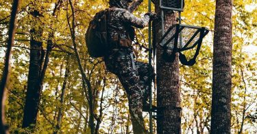 How to Hang a Treestand