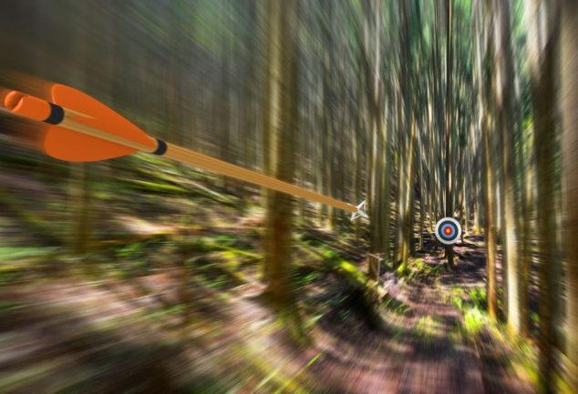 how fast does an arrow travel